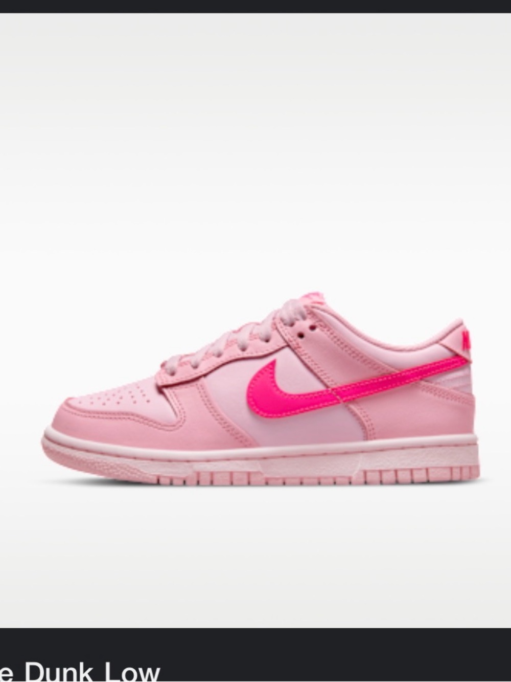 Nike Dunk Low big kid